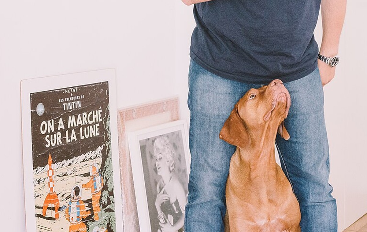 Puppy Training in Campbelltown: 7 Skills to Start With