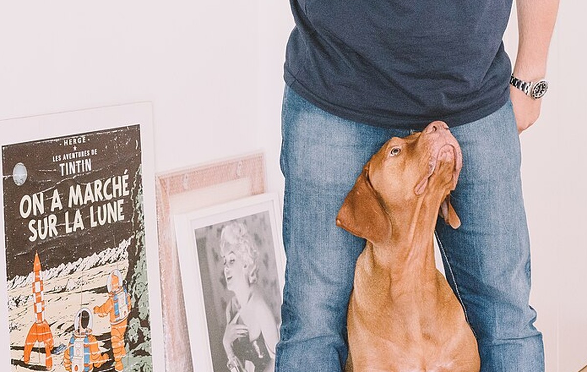 What Rewards Should You Use for Dog Training?